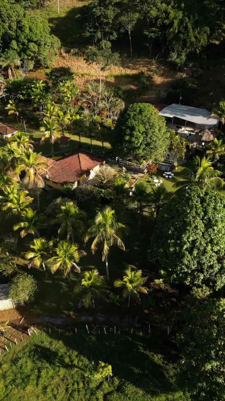 Vista aérea de uma casa de telhado vermelho entre palmeiras e gramado